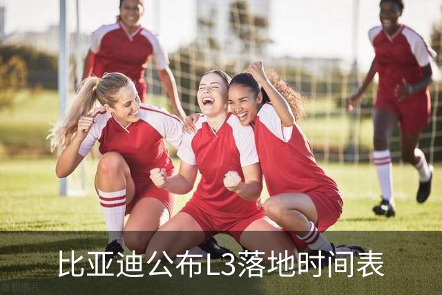比亚迪公布L3落地时间表