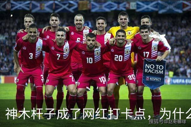 神木杆子成了网红打卡点，为什么要围起来？